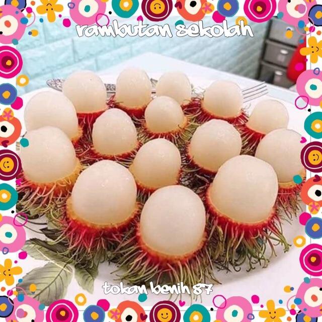 Anak Pokok Rambutan Sekolah Home Furniture Gardening On Carousell