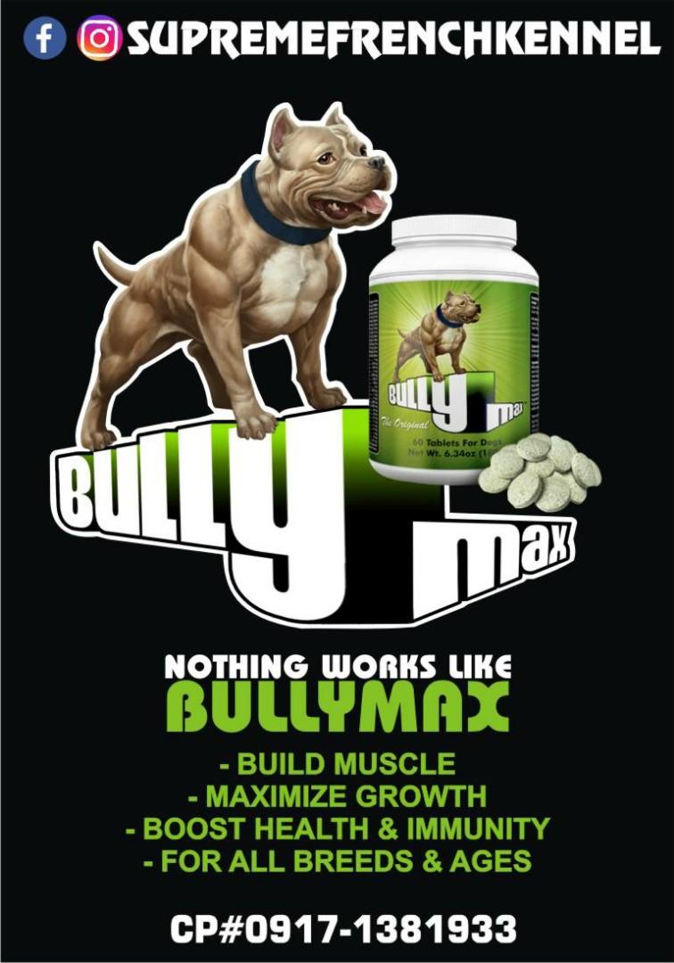 bully max grain free