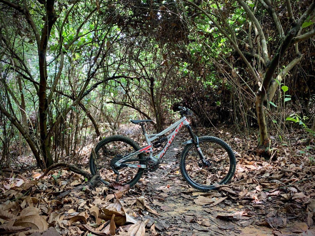 Devinci on sale spartan aluminum