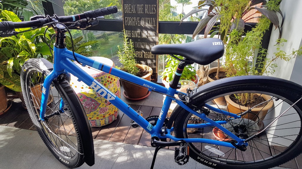 Hoy Bonaly 24 Inch kids bike blue for 7 10 yrs old kids Sports