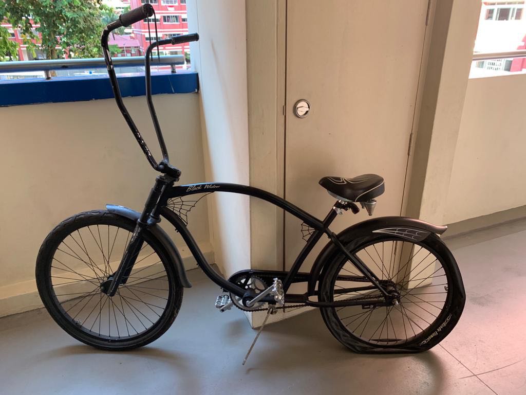 Madwagon beach cruiser cheap