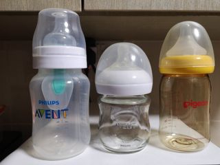 mam hedgehog bottles