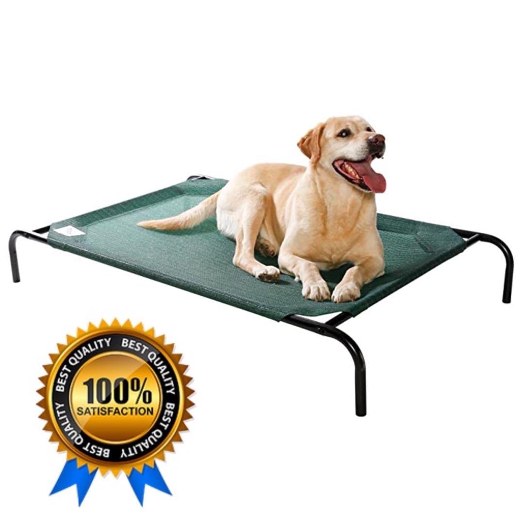 NEW Coolaroo Original Elevated Pet Bed For Dog and Cat L Pet Supplies Homes Other Pet Accessories on Carousell