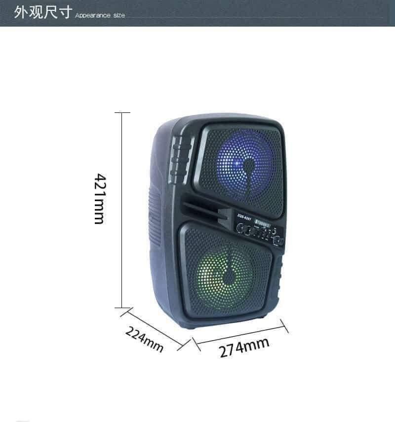 avia portable speaker