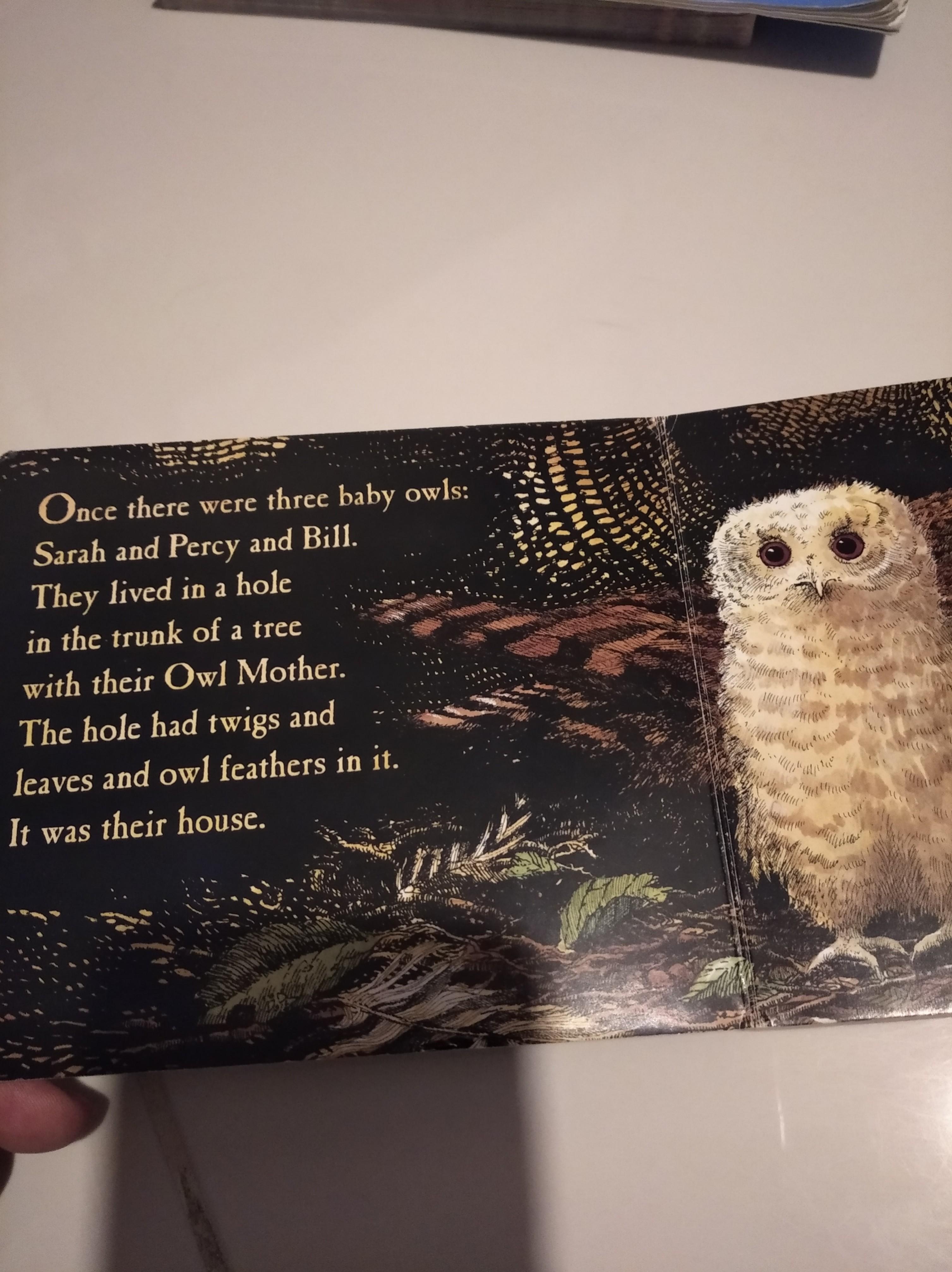 Owl Babies board book, Hobbies & Toys, Books & Magazines, Children's