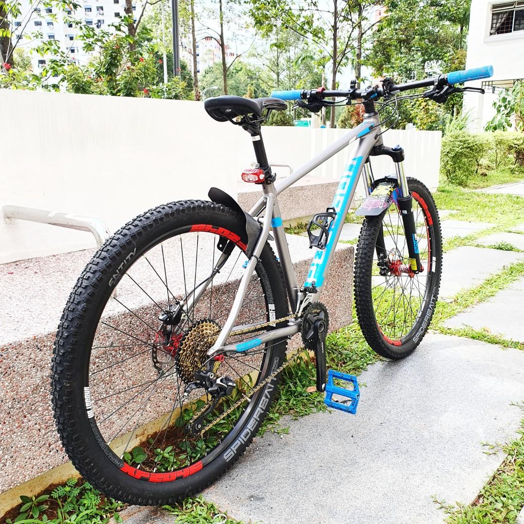 polygon hardtail