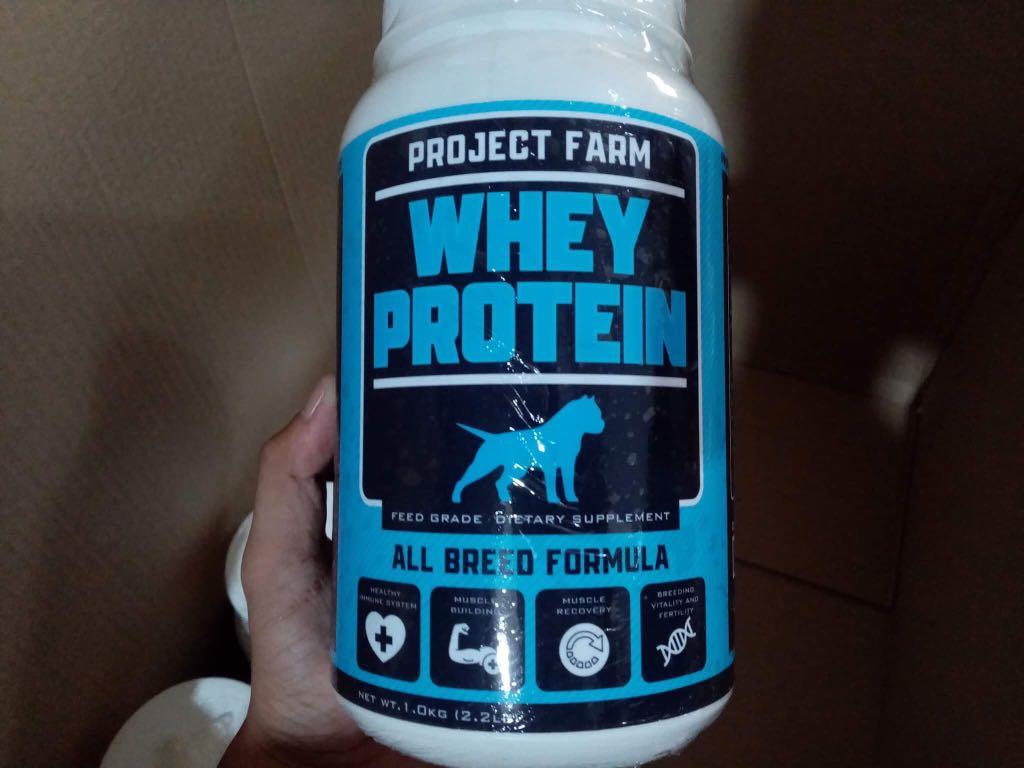 Whey Protein For Dogs All Breed Pets Supplies Pet Food On Carousell