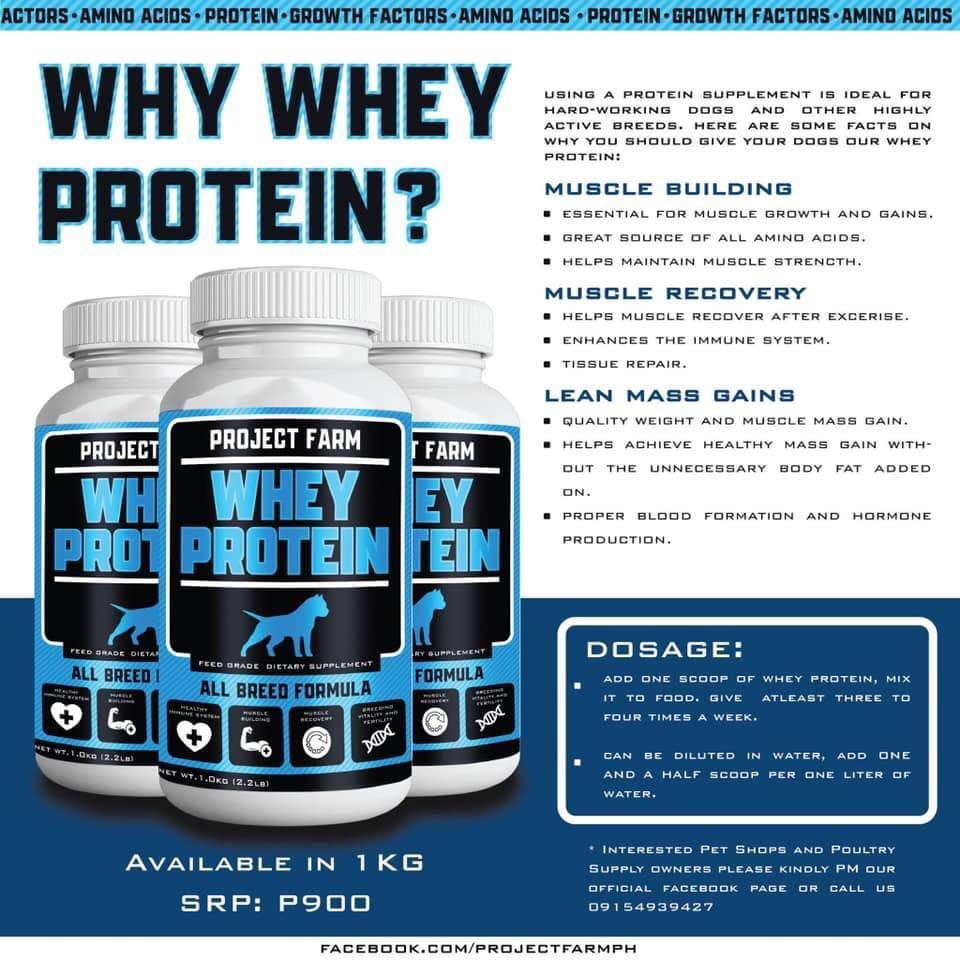 WHEY PROTEIN FOR DOGS (ALL BREED), Pet Supplies, Pet Food on Carousell