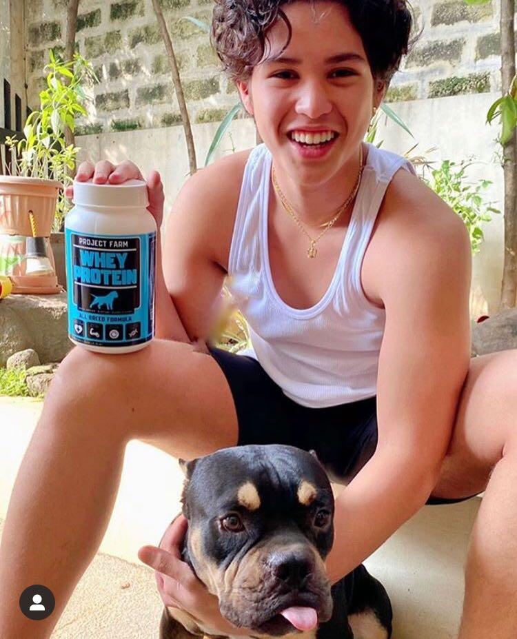 Can You Give Your Dog Whey Protein