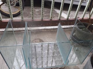 (Category: ) located in . Submitted by anis7777 (Listing ID 1029046637, Image 1). Description: .