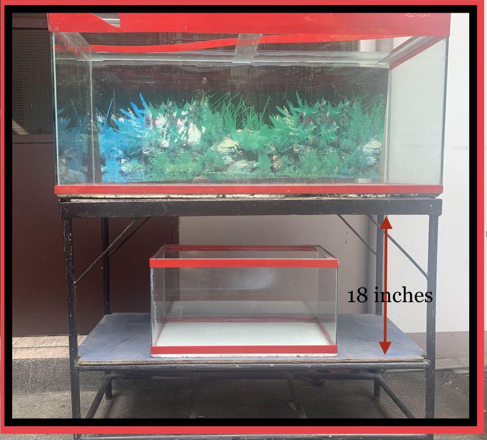 double aquarium stand