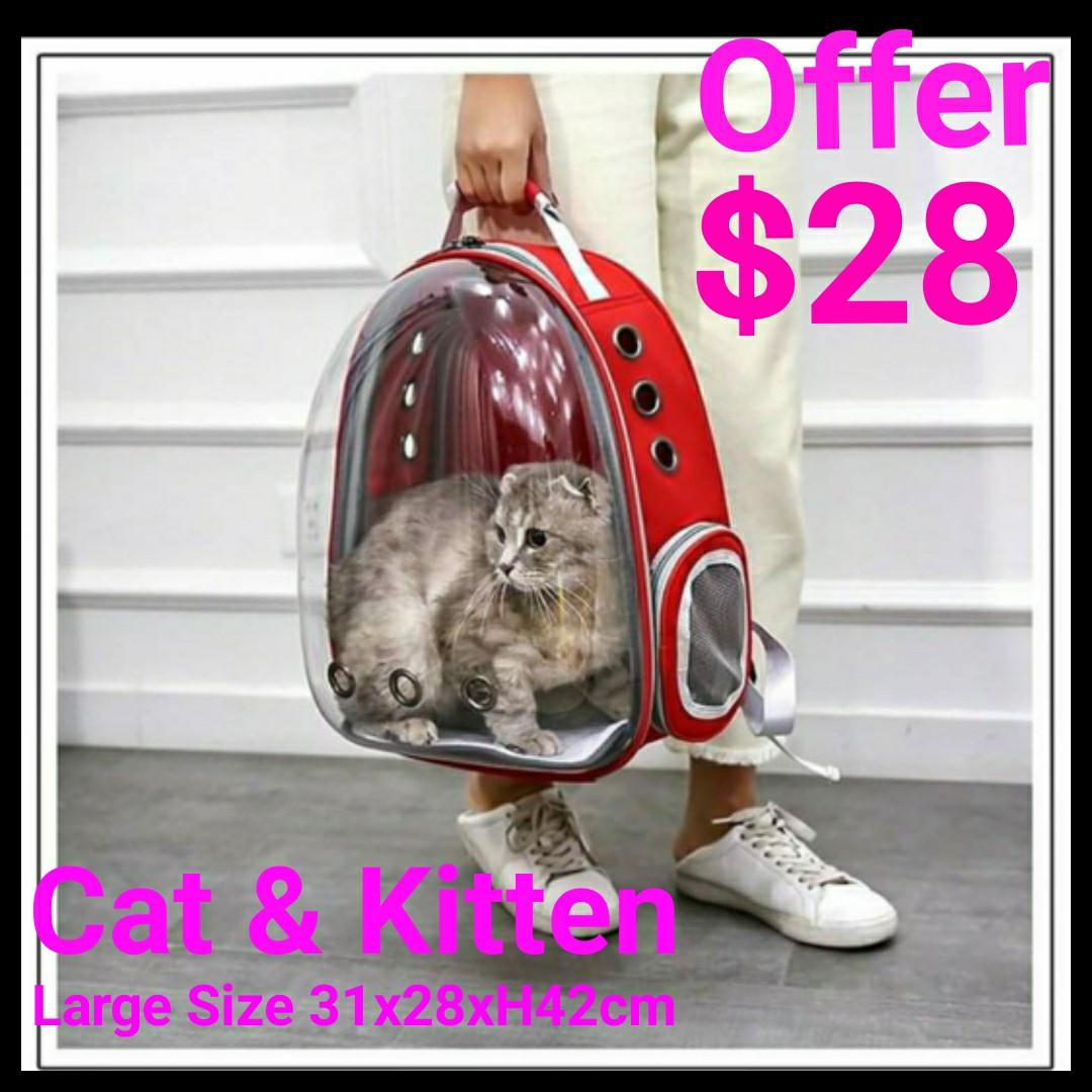 cat carrier astronaut backpack