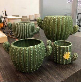 Cactus Pots for Sale