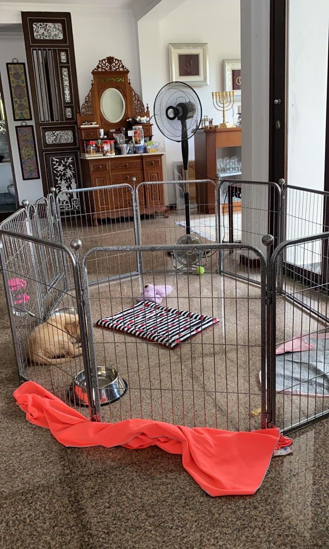 dog pen for sale