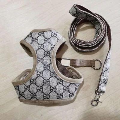 Gucci Pet Harness and Leash set for 