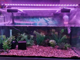 (Category: ) located in . Submitted by gd2deal (Listing ID 1029051128, Image 1). Description: .