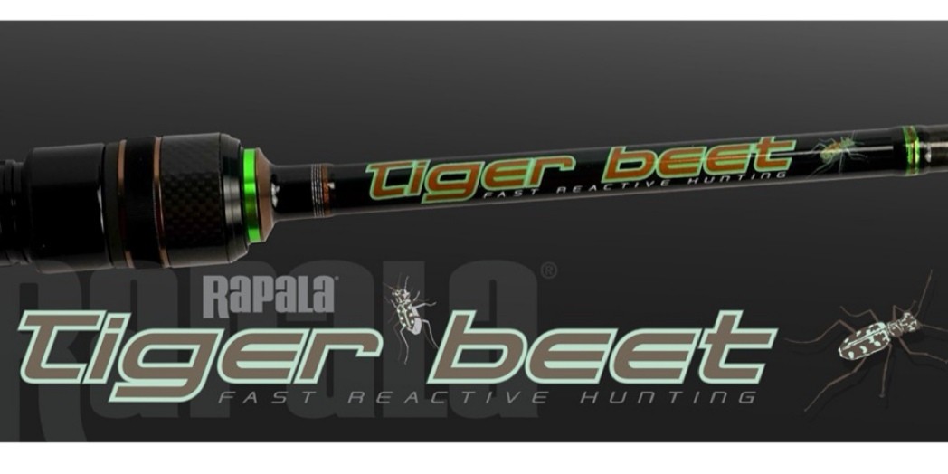 Rapala tiger beet clearance