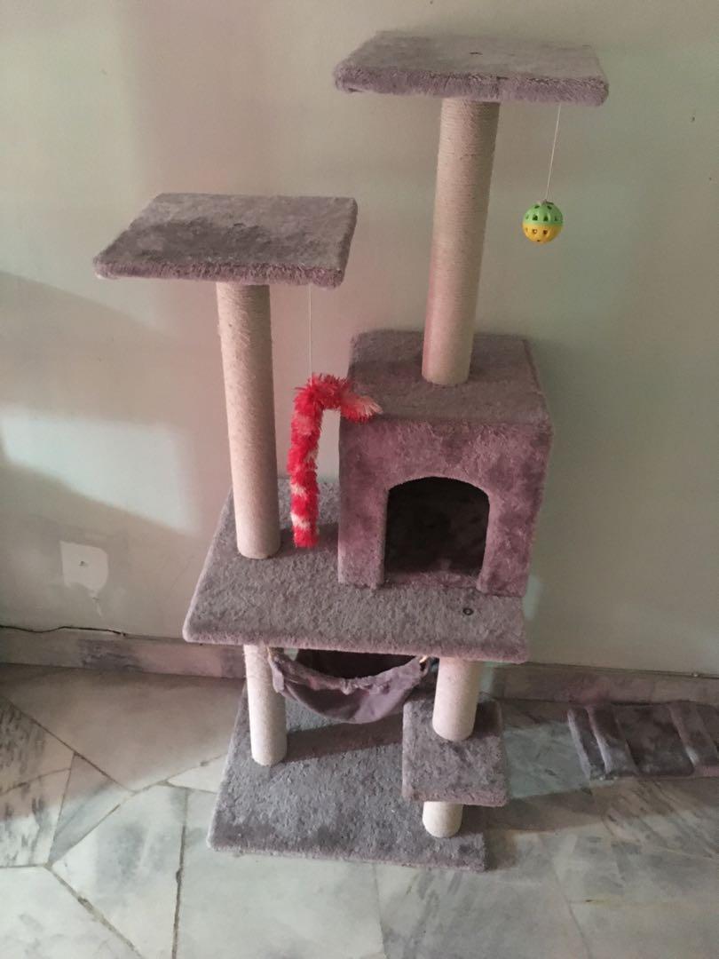 used cat tree