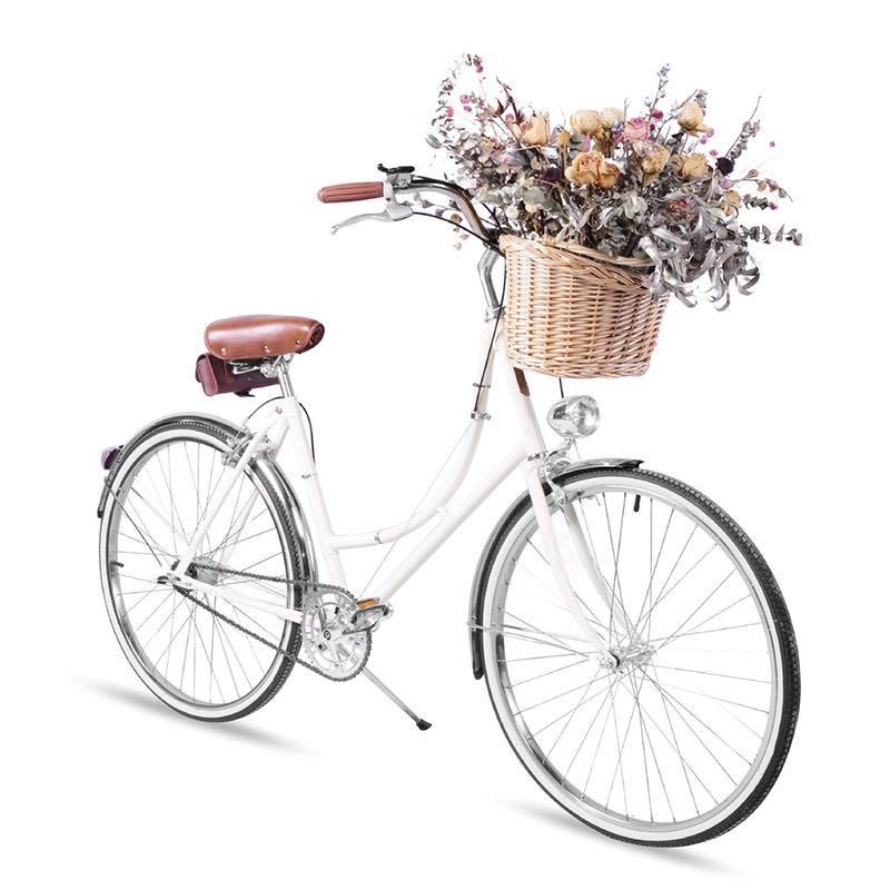 old fashioned bike with basket