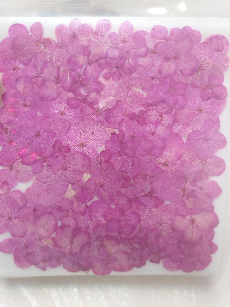 日本乾花押花紫陽花繡球花滴膠uv膠水晶膠ab膠花畫浮游花 興趣及遊戲 手作 自家設計 文具及工藝 手作 Carousell