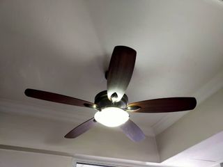 (Category: ) located in . Submitted by cxc212 (Listing ID 1029348624, Image 1). Description: .