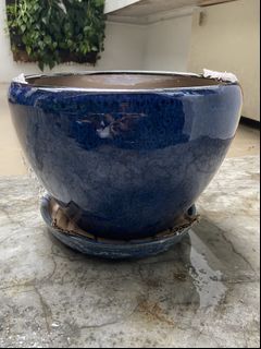 (Category: ) located in . Submitted by judw1 (Listing ID 1029240669, Image 1). Description: .