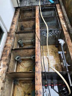 (Category: ) located in . Submitted by aquaticvalleysg (Listing ID 1029347581, Image 1). Description: .
