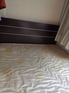 （分類：）位於 。 由 goodguygreg 提交（商品編號 1029291264，圖片 1）。簡介： 。