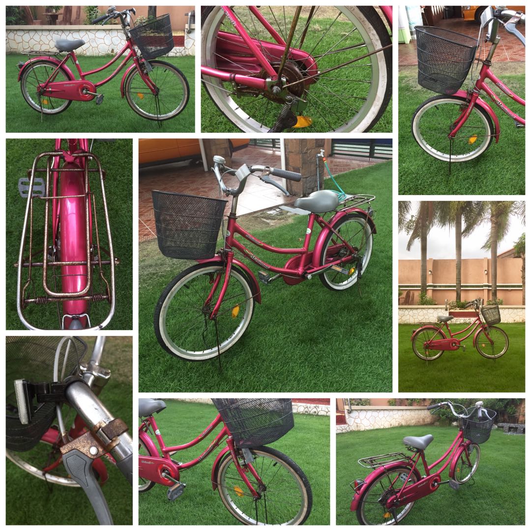 Marinoni japanese top bike