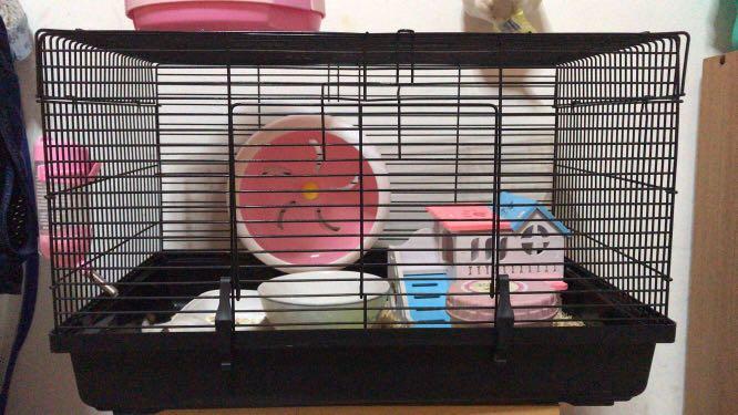 cute hamster cages
