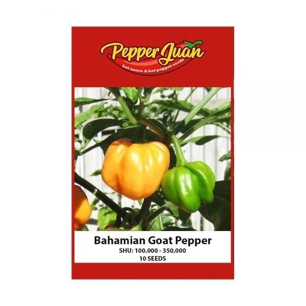 Bahamian Goat Pepper Seeds Gardening Feeds Supplements And Seeds On Carousell