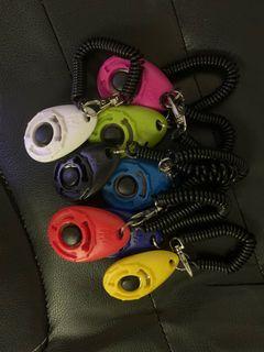 Sugar Glider Pet Accessories Carousell Malaysia
