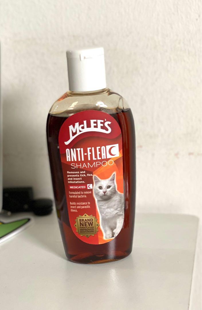 anti flea shampoo for cats
