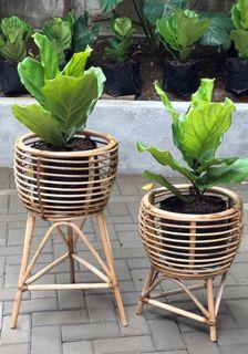 Native Planters Rattan Plant Stand Rattan Planters Rattan Basket Planter Plant Pot Plant Box Planters with legs