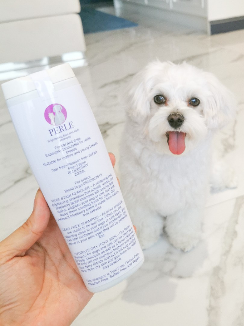 Perle Dogs Cats Purple Shampoo Pet Supplies Health Grooming on