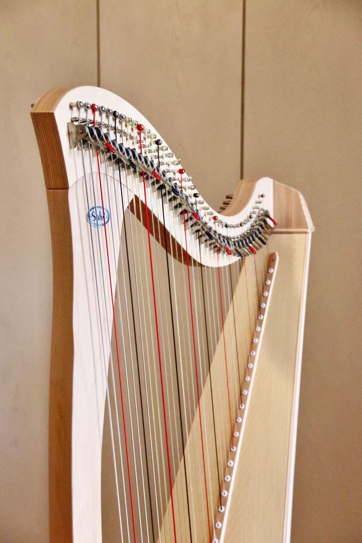 Salvi top gaia harp