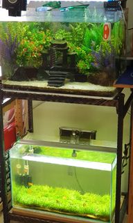 (Category: ) located in . Submitted by gdevling (Listing ID 1025337355, Image 1). Description: .