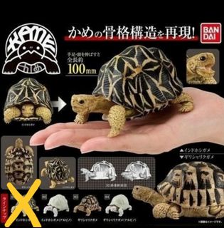 （分類：）位於 。 由 mingwd 提交（商品編號 1025443981，圖片 1）。簡介： 。