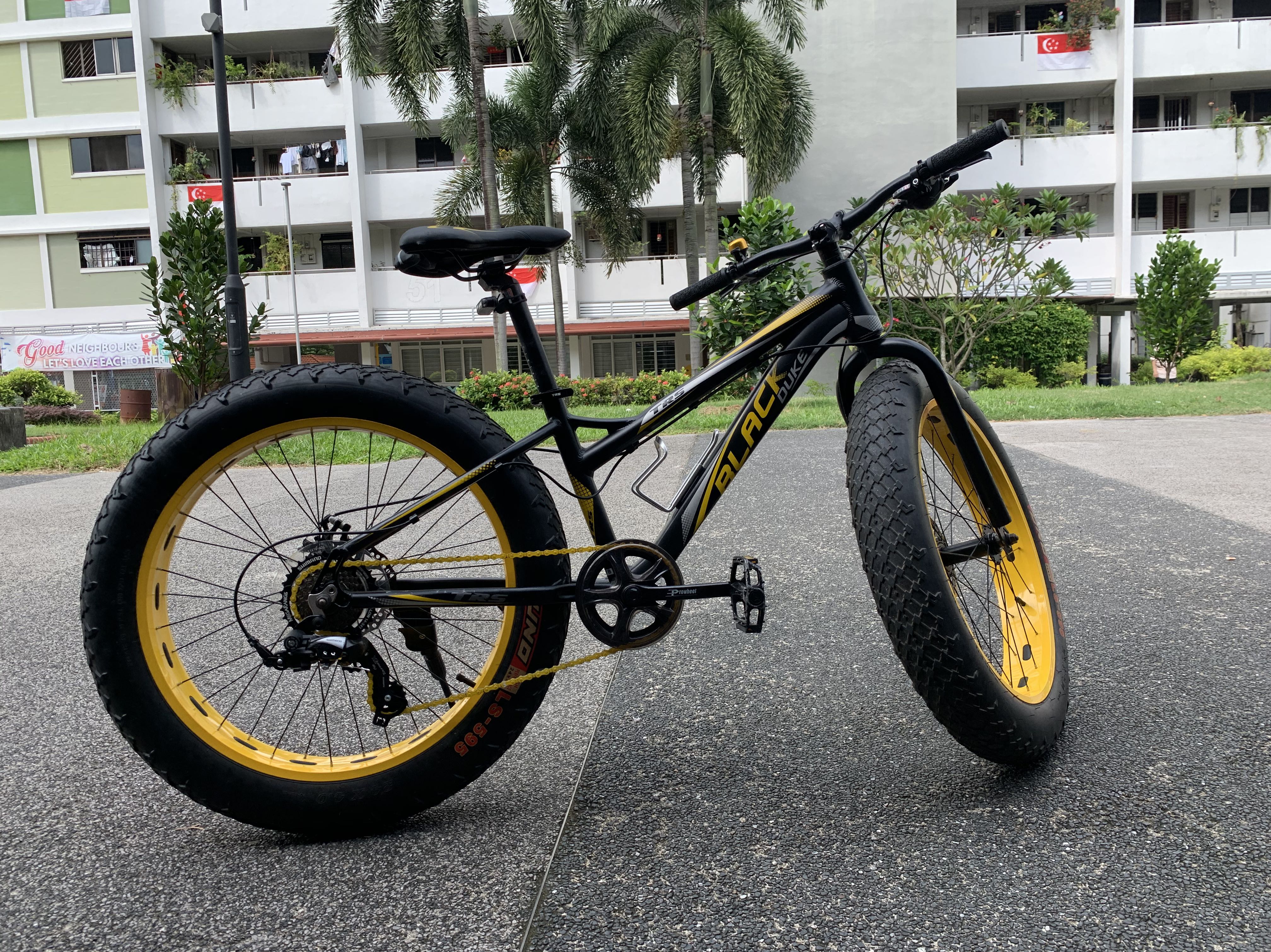 24 fat bike