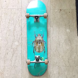 (Category: ) located in . Submitted by sundaygoods (Listing ID 1025299604, Image 1). Description: .
