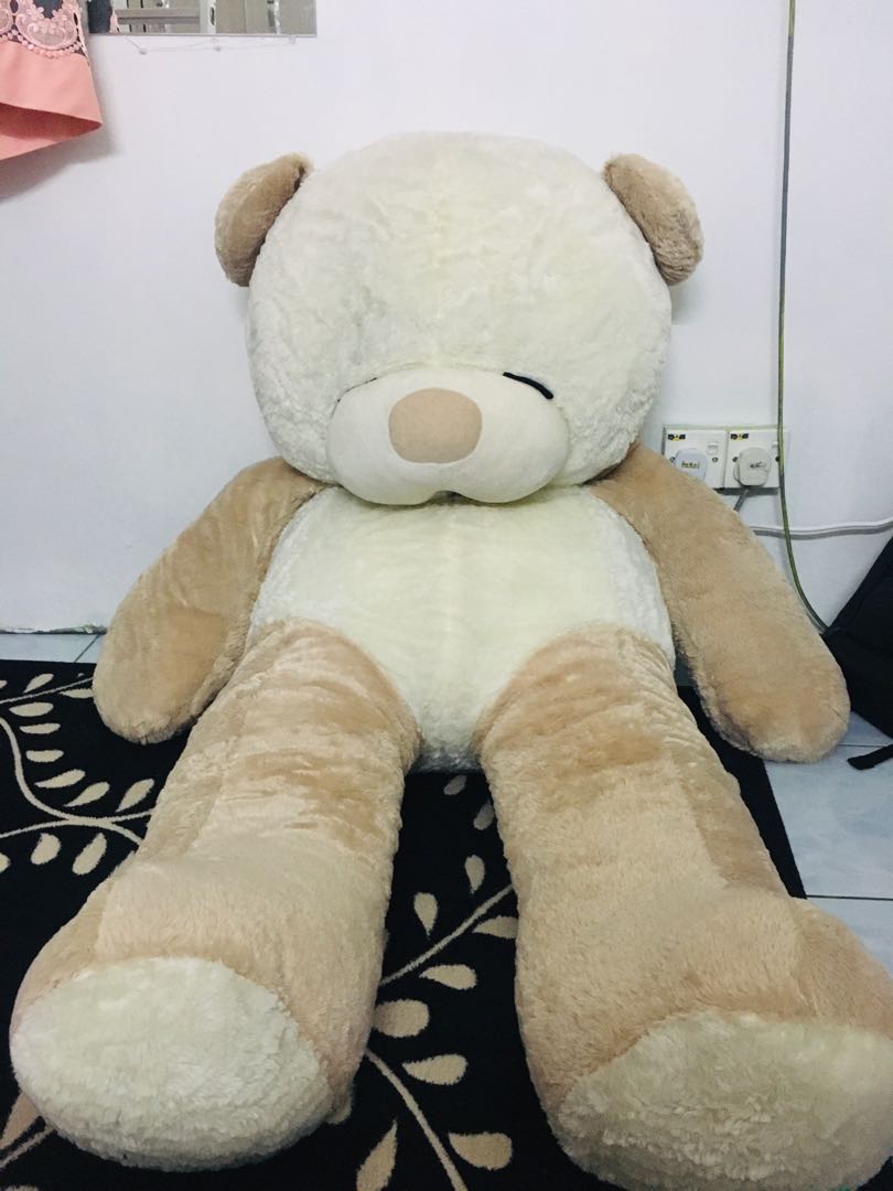 Teddy bear kaison outlet