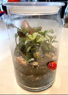 (Category: ) located in . Submitted by estellacharm18 (Listing ID 1025380637, Image 1). Description: .
