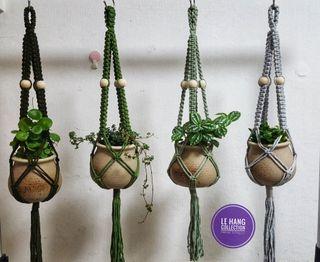 🍀Pastel macrame plant hanger🍀