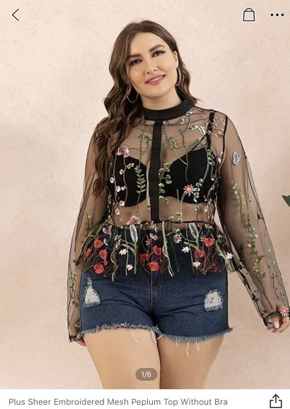 sheer embroidered top