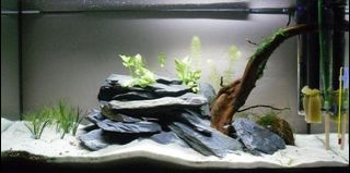 (Category: ) located in . Submitted by localshopsale (Listing ID 1025396854, Image 1). Description: .