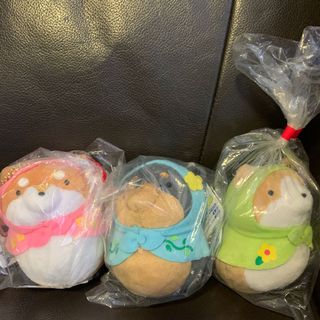 （分類：）位於 。 由 shiroshiro___ 提交（商品編號 1025403894，圖片 1）。簡介： 。