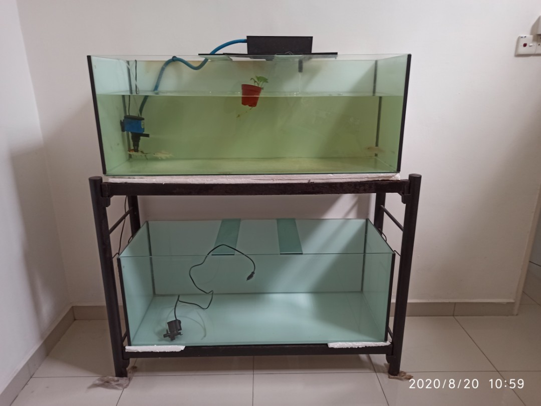 double aquarium rack