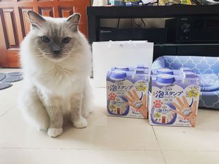 （分類：）位於 。 由 karumen 提交（商品編號 1029672279，圖片 1）。簡介： 。