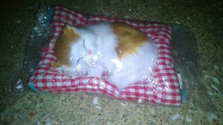 (Kategori: ) berada di . Dikirim oleh salera (ID iklan 1029768422, Gambar 1). Deskripsi: .