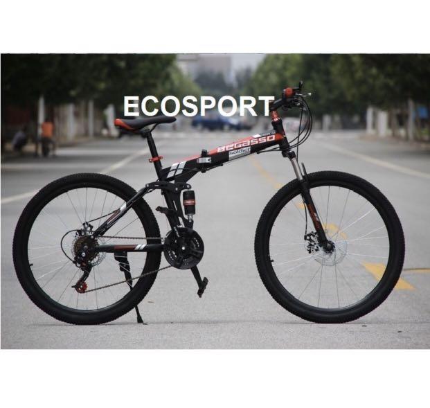 Ecosport begasso discount